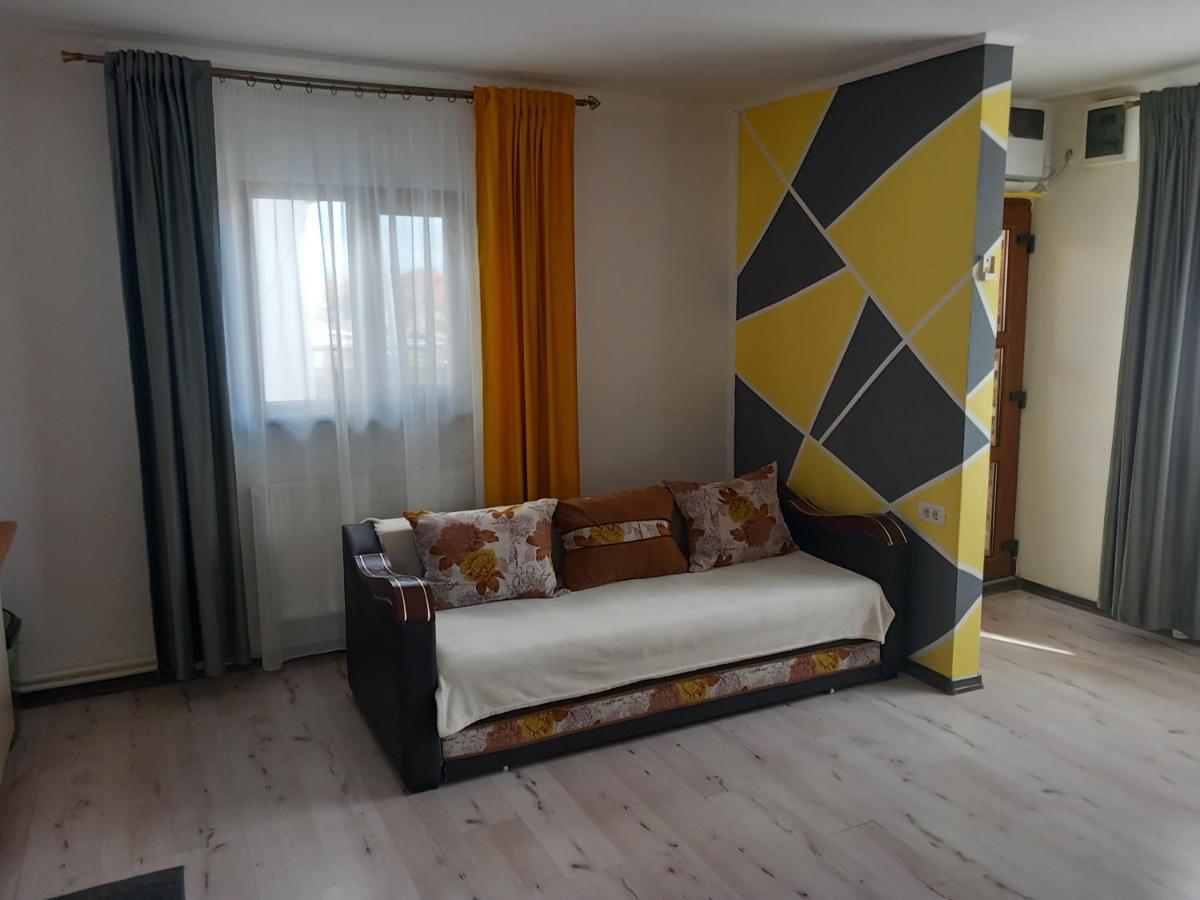 Vila Davison Zsilvásárhely Kültér fotó