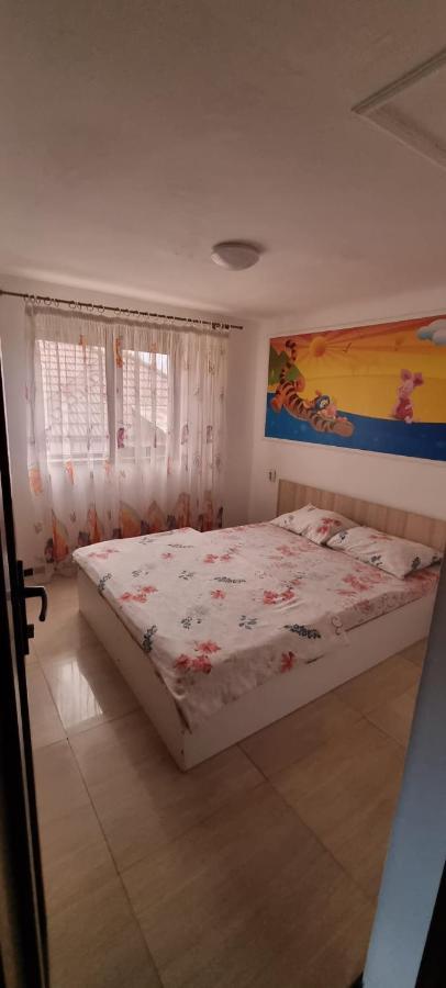 Vila Davison Zsilvásárhely Kültér fotó